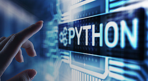 Python I Pilot – Begins November 13, 2023 WSPDP1